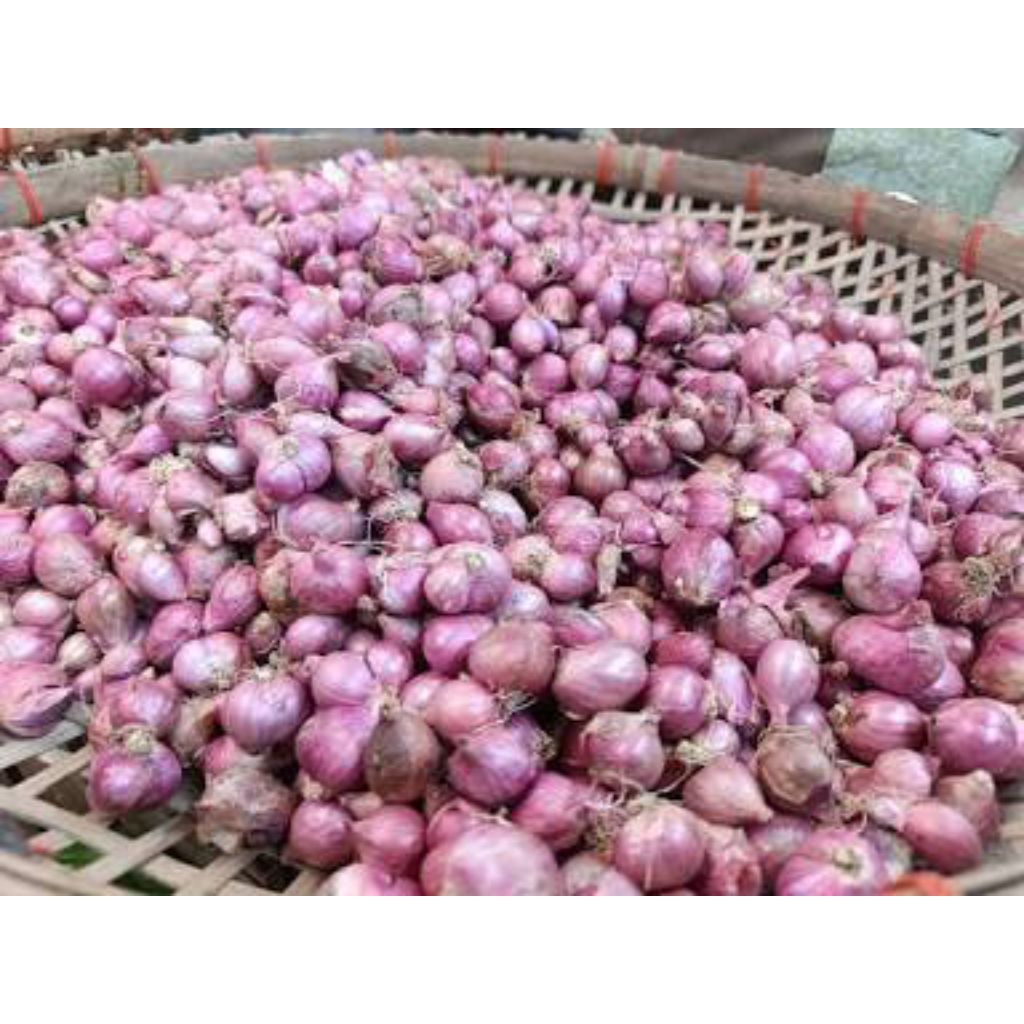 

bawang merah kecil bagus 250g