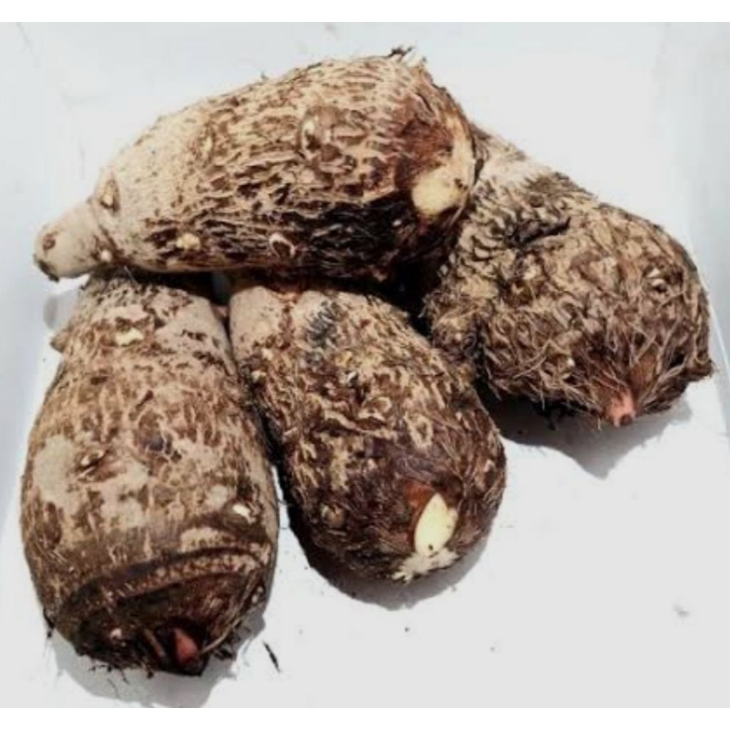 

UBI TALAS 1 Kg,. MBOTE SUPER PULEN