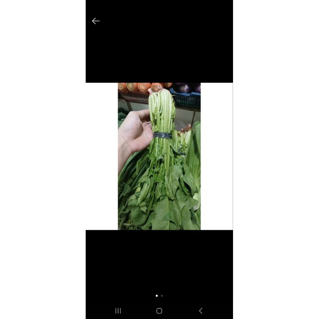 

poling/bayam jepang 1 kg PROMO