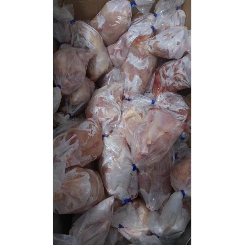 

Ayam Karkas Frozen Premium Ukuran (1100 - 1200)