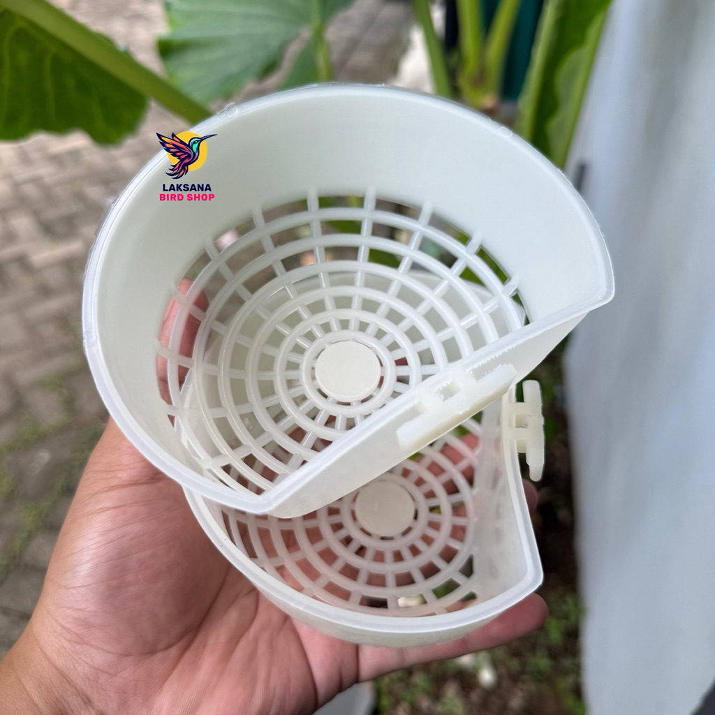 CEPUK SARANG BURUNG KENARI, FINCH, BERANJANGAN, BLACKTHROAT ELITE SONG