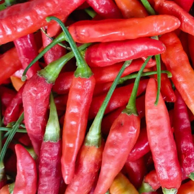 

1kg cabe rawit merah/CRM segar di petik langsung dari kebun/sawah