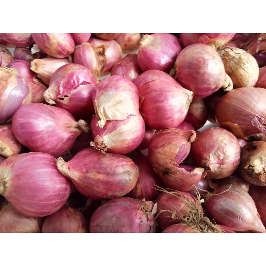 

bawang merah kering berat 1kg