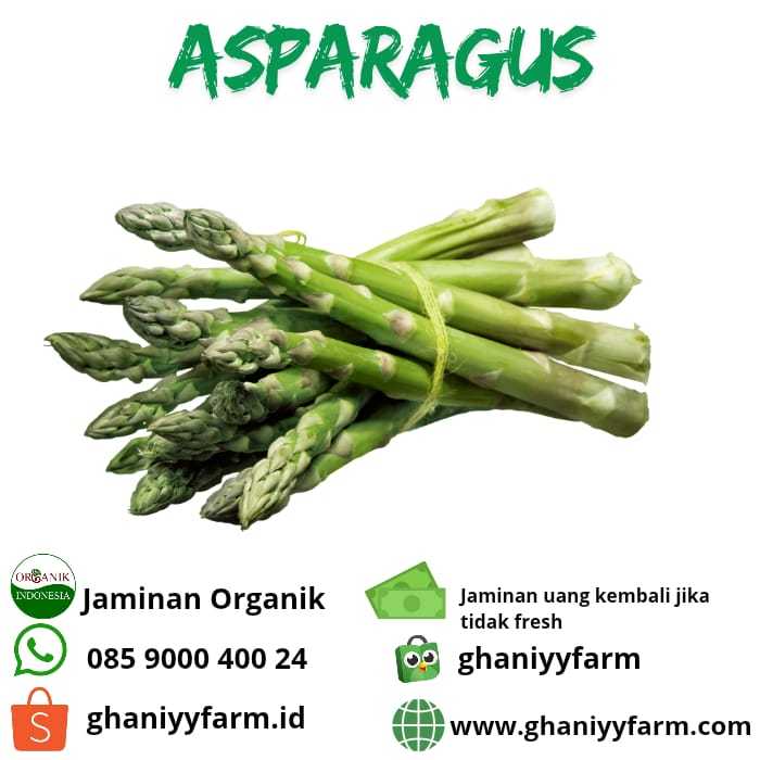 

Sayur Organik Asparagus Organik 500 Gram