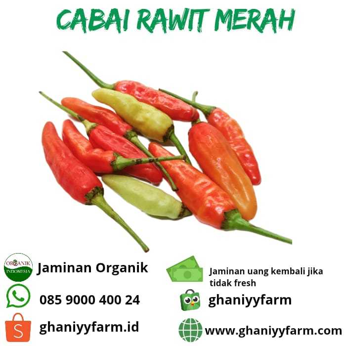 

Cabai Rawit Merah Organik 100 Gram