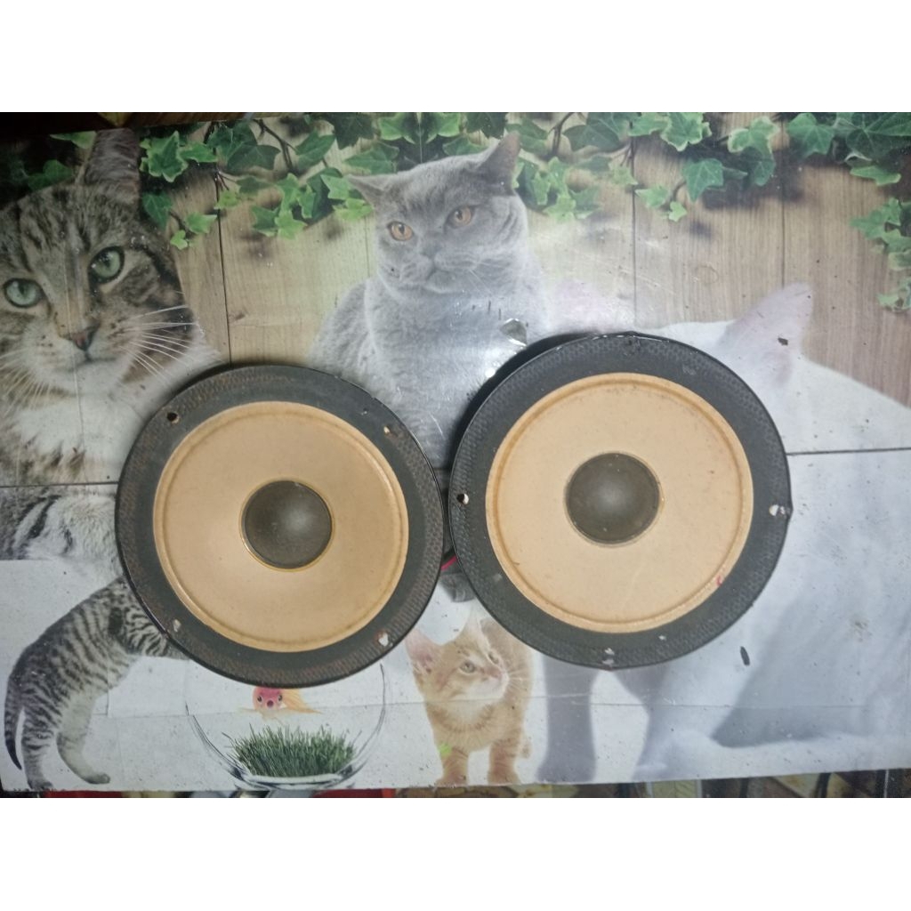 speaker middle polytron 5"