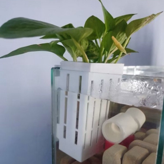 Bosaquatic - Pot Gantung Tanaman Aquarium Pot Aquarium