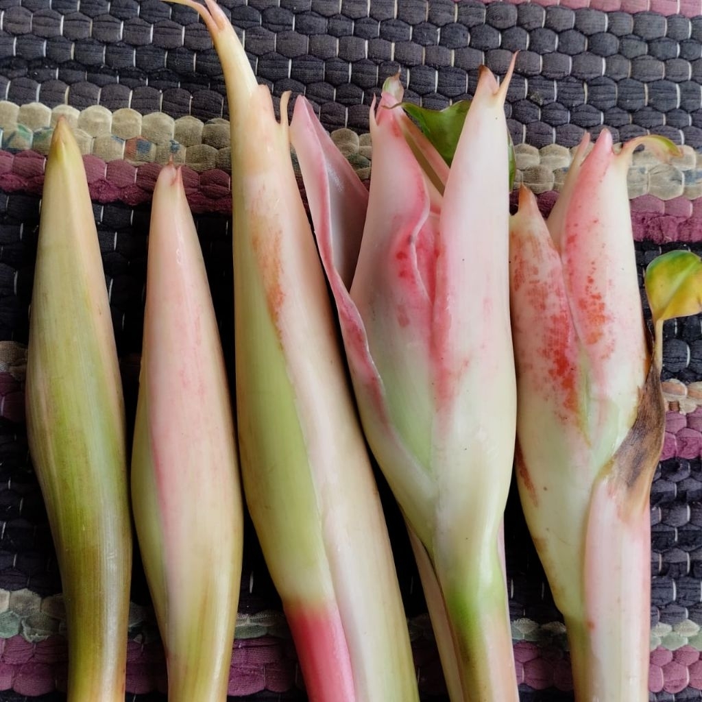 

kecombrang/kincung 250gram