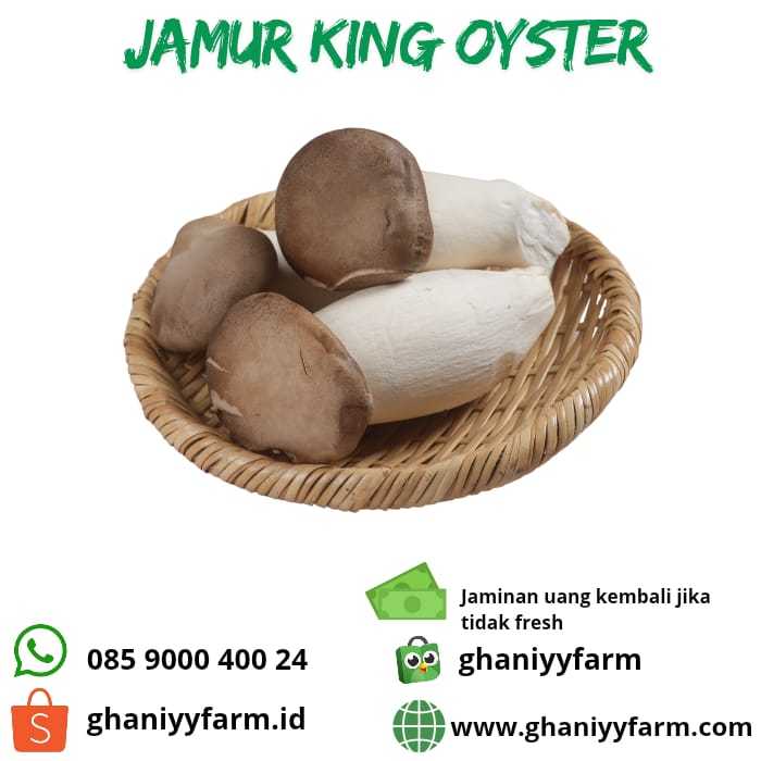 

Jamur King Oyster 200Gram