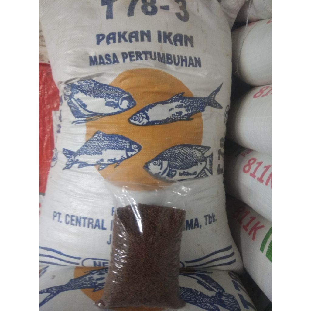 T-78 3 Pakan ikan masa pertumbuhan
