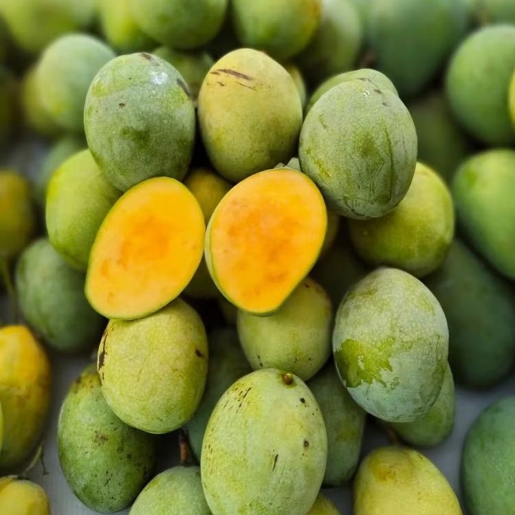 

MANGGA MANALAGI MENGKEL 1kg