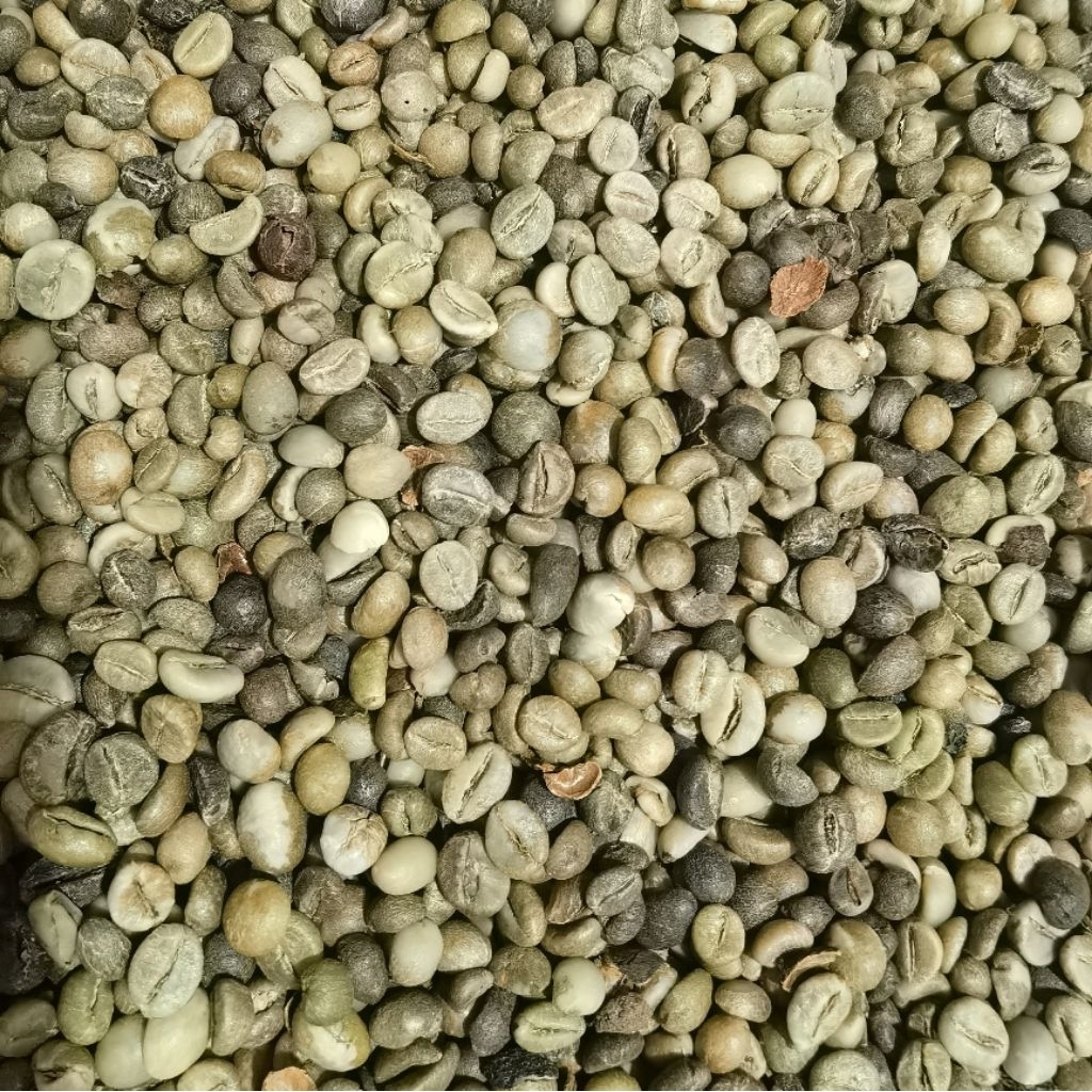 

Kopi robusta Asalan petani 20kg | Kopi robusta asalan petani ranau