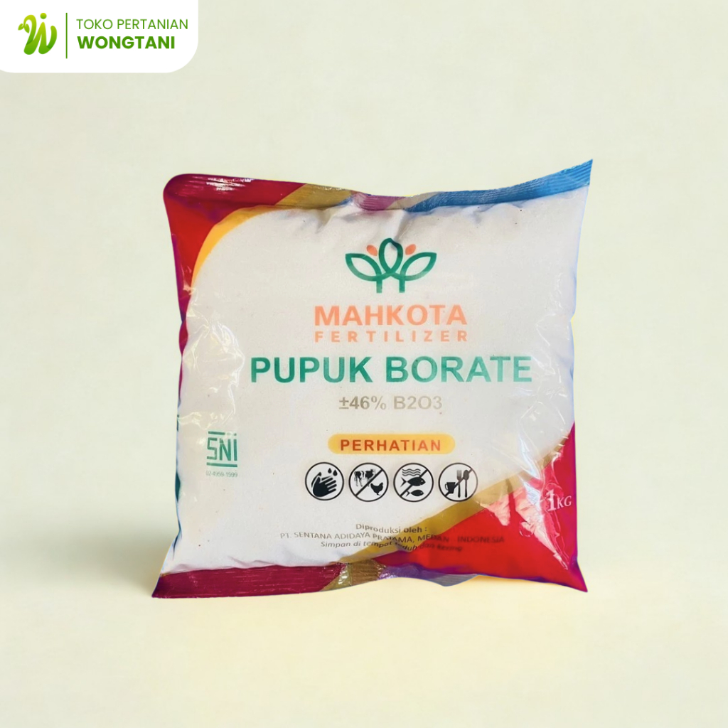 Pupuk Boron PUPUK BORATE isi 1Kg Original SENTANA ADIDAYA Perbaiki Bunga Dan Buah