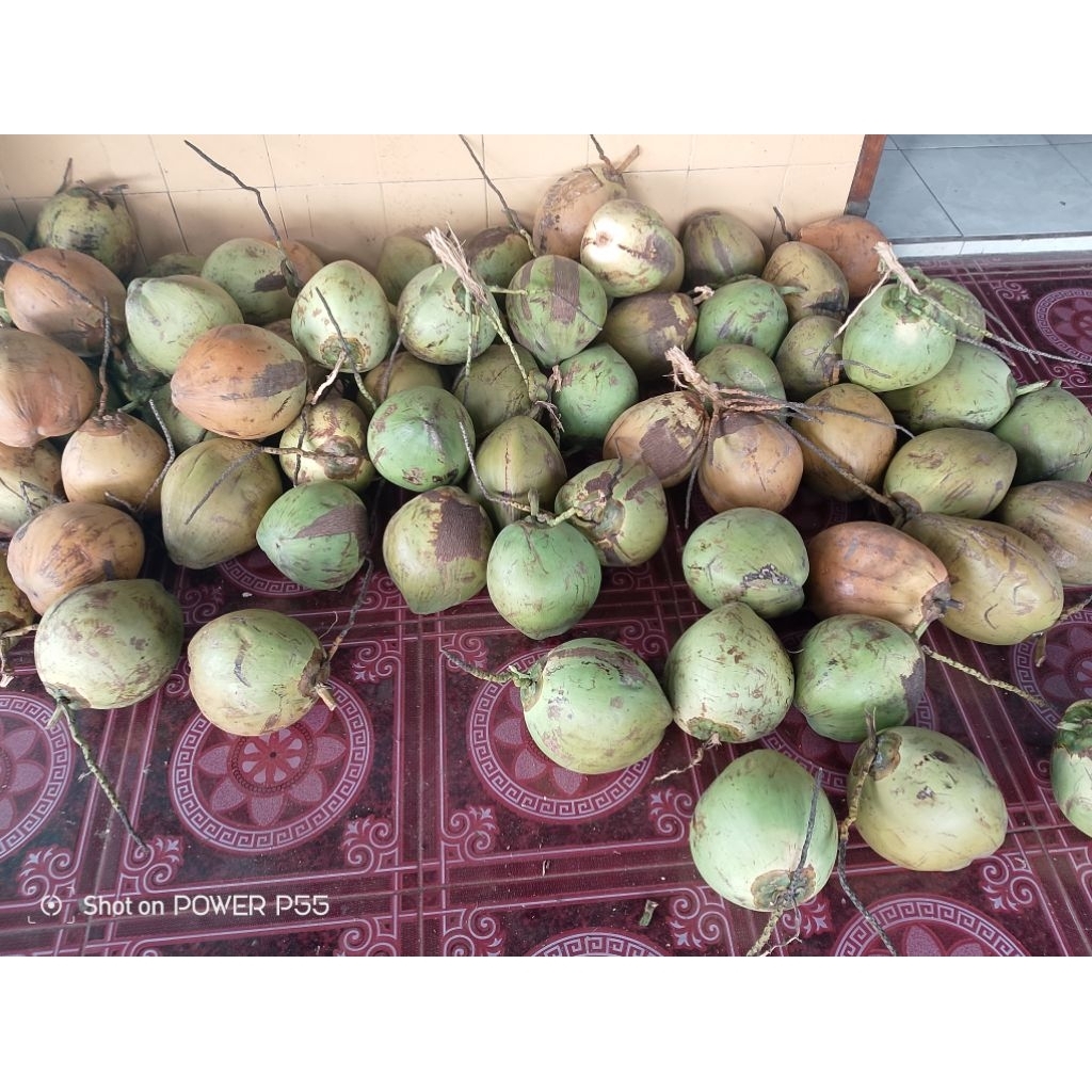 

degan ijo kelapa muda by Rezrayshop