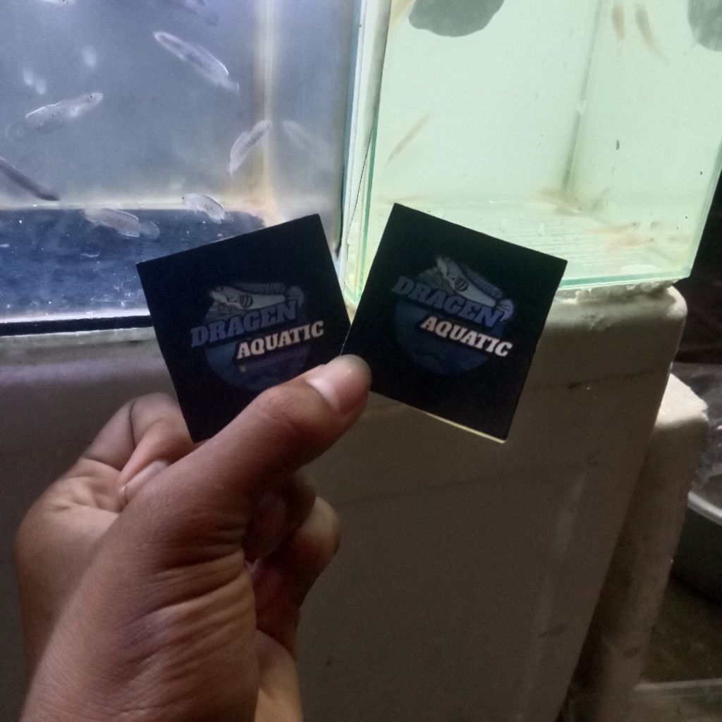 

stiker bp singgel tank 7-8cm