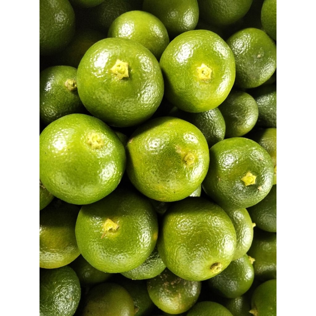 

1kg jeruk songkit /jeruk kasturi/ jeruk kunci