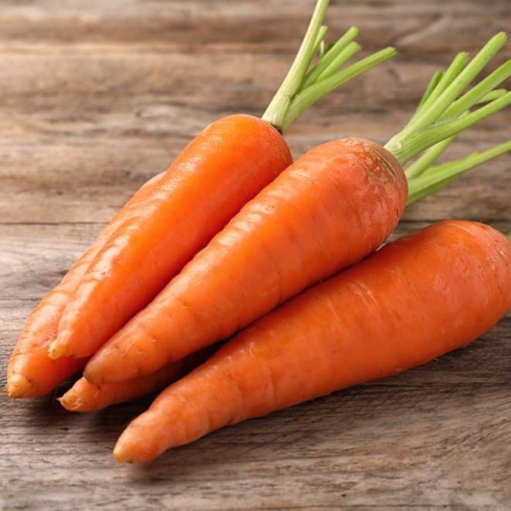 

INSTAN KOTA JAMBI Sayur Wortel 500gr