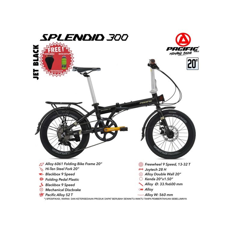 20 FOLD pacific splendid 300