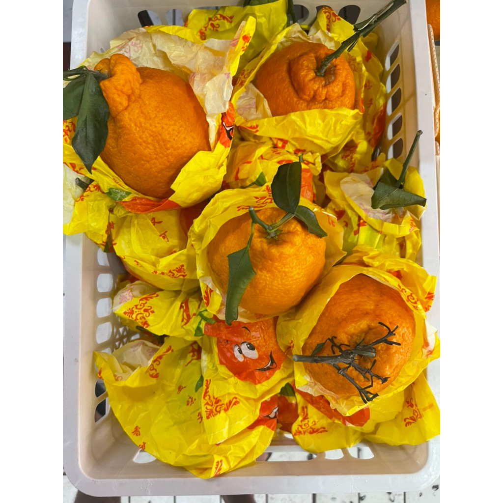 

Jeruk Dekopon Segar Fresh 1 kg