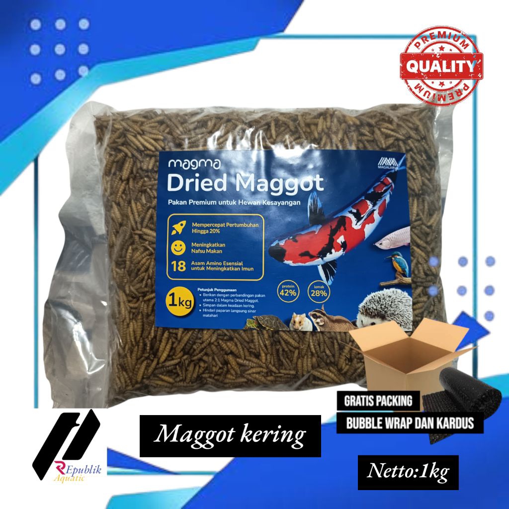 Maggot kering 1 kg/maggot 1 kg/maggot kering /maggot / pakan koi / pakan ikan predator / pakan ikan