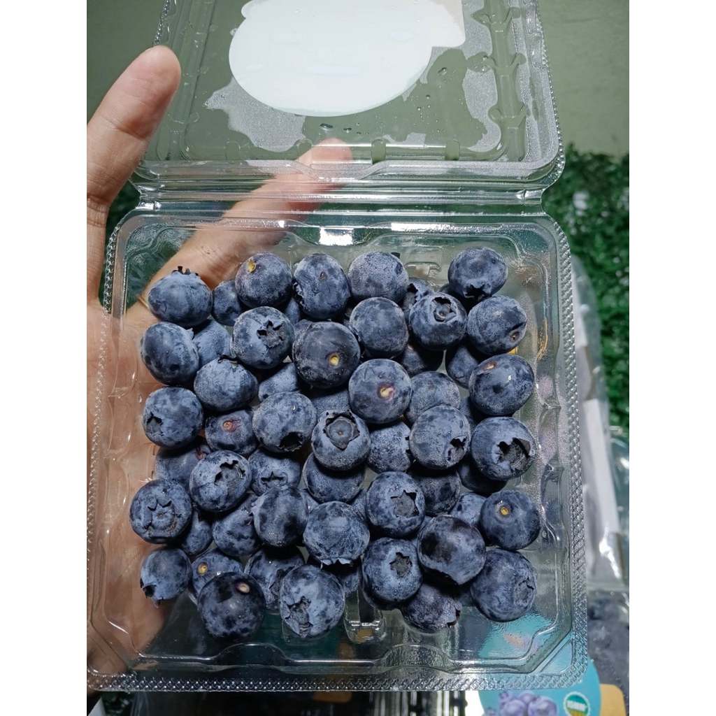 

Blueberry 125gr fresh