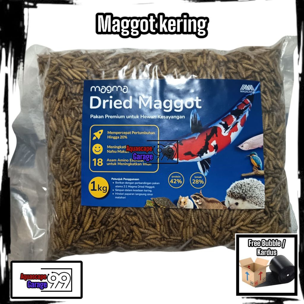 Maggot kering 1 kg/maggot 1 kg/maggot kering / maggot /pakan koi / pakan ikan predator