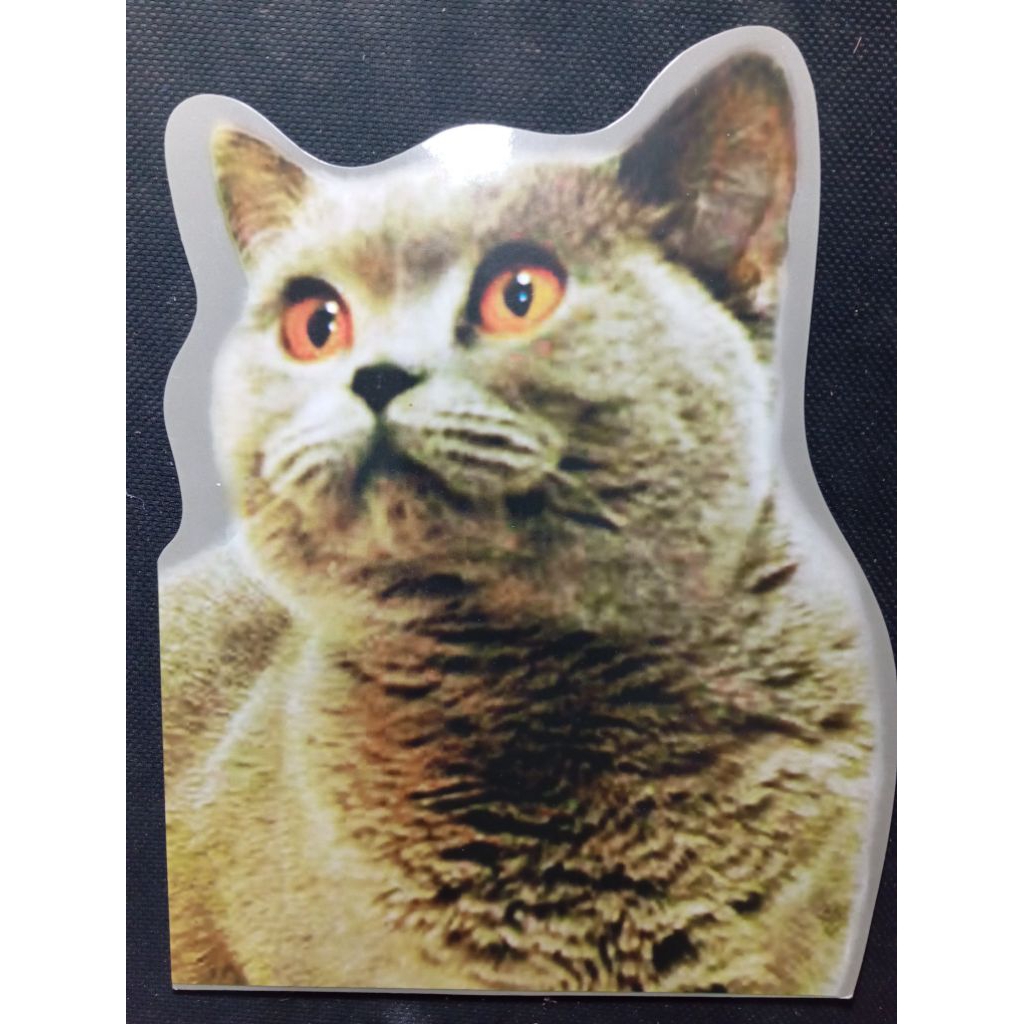 

Prangko Prisma Tema Kucing Lucu