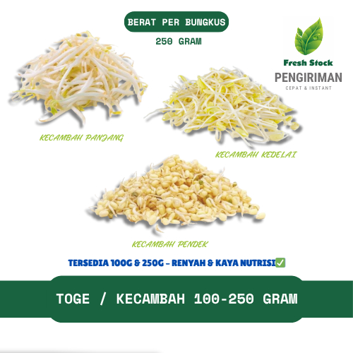 

TOGE / KECAMBAH / CAMBAH PANJANG PENDEK KEDELAI | FreshStock