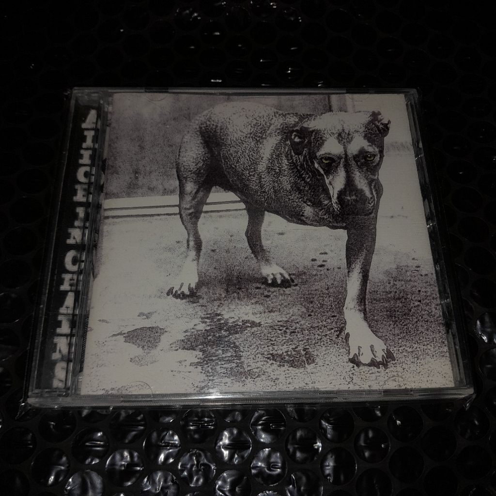 cd alice in chains selftitled