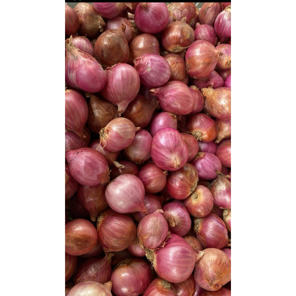 

bawang merah
