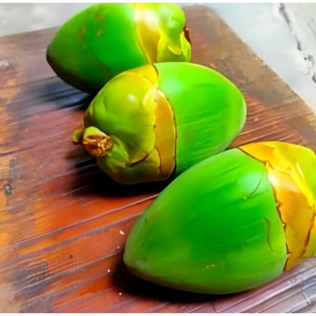 

Buah Bluluk Kelapa Muda Segar / 1 biji (buah herbal)