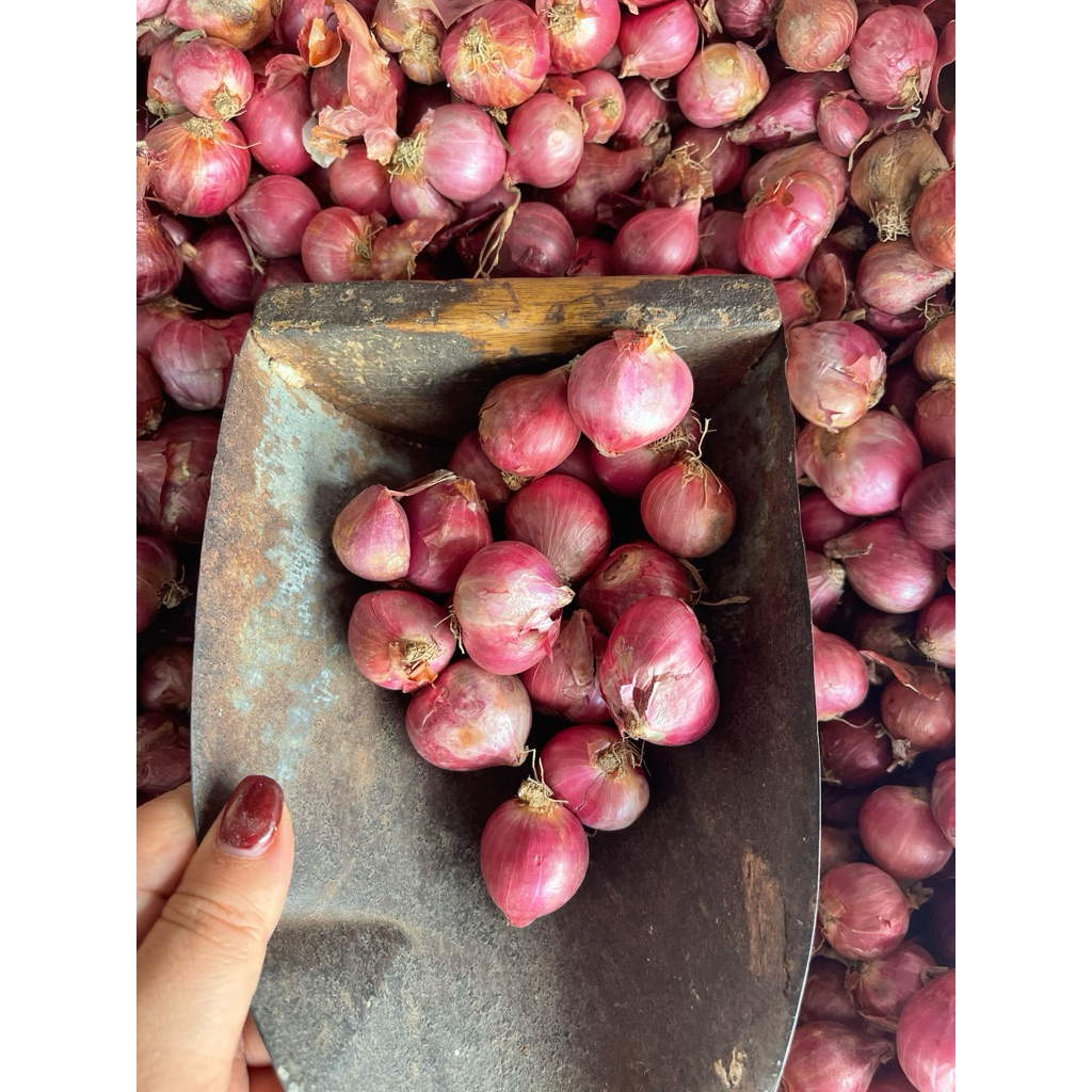 

bawang merah jawa 500gr