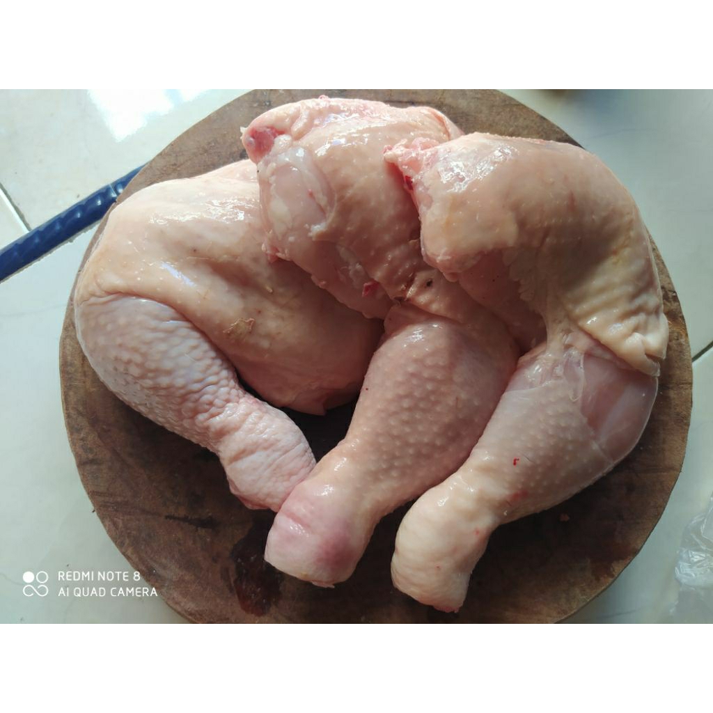 

Paha sempol 1kg isi 3