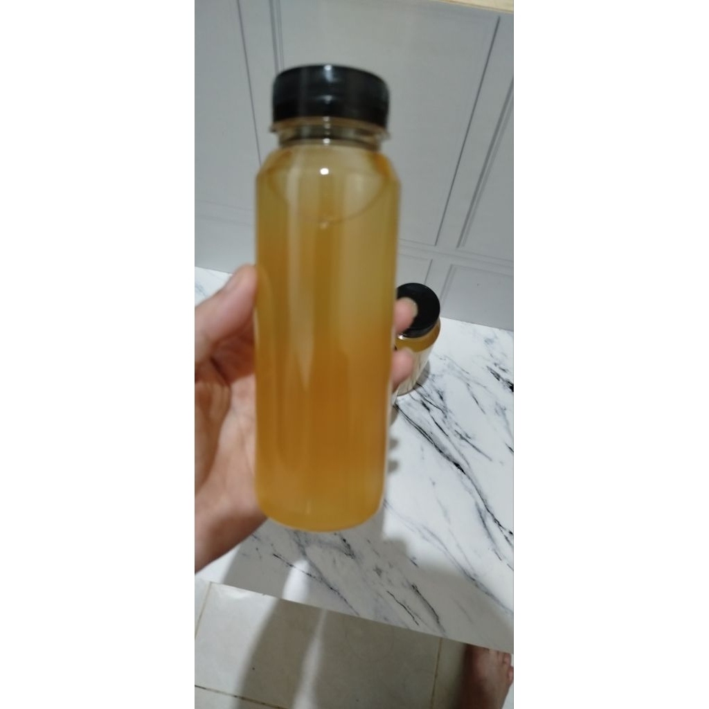 

kombucha green tea siap minum 250 ml