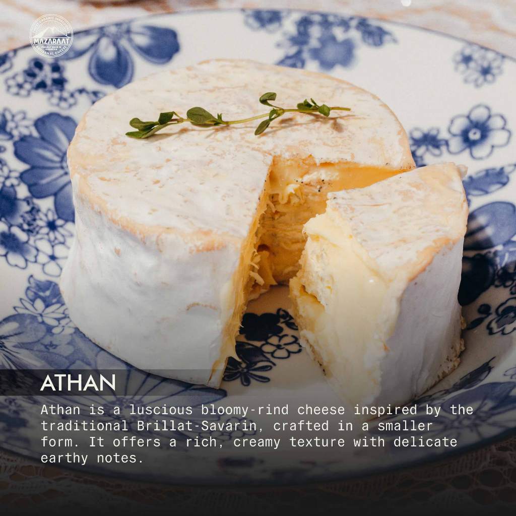 

MAZARAAT Keju Athan (Camembert Style)