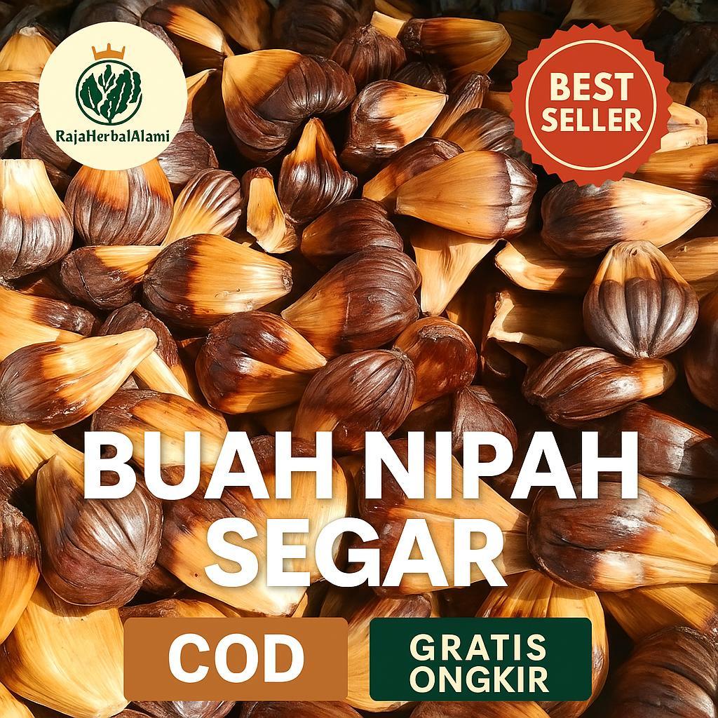 

Buah Nipah Dahon Segar 1Kg Murah | COD & GRATIS ONGKIR