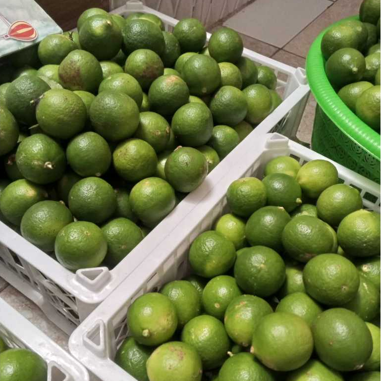 

Jeruk Nipis 1kg Segar Murah Meriah Baru Panen