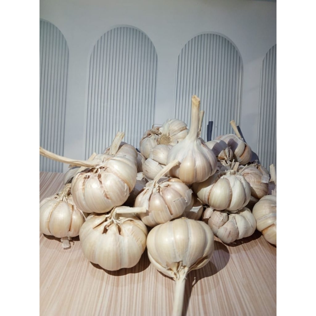 

Bawang putih fresh kemasan 1kg