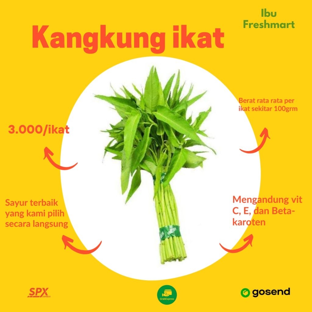 

KANGKUNG IKAT SEGAR