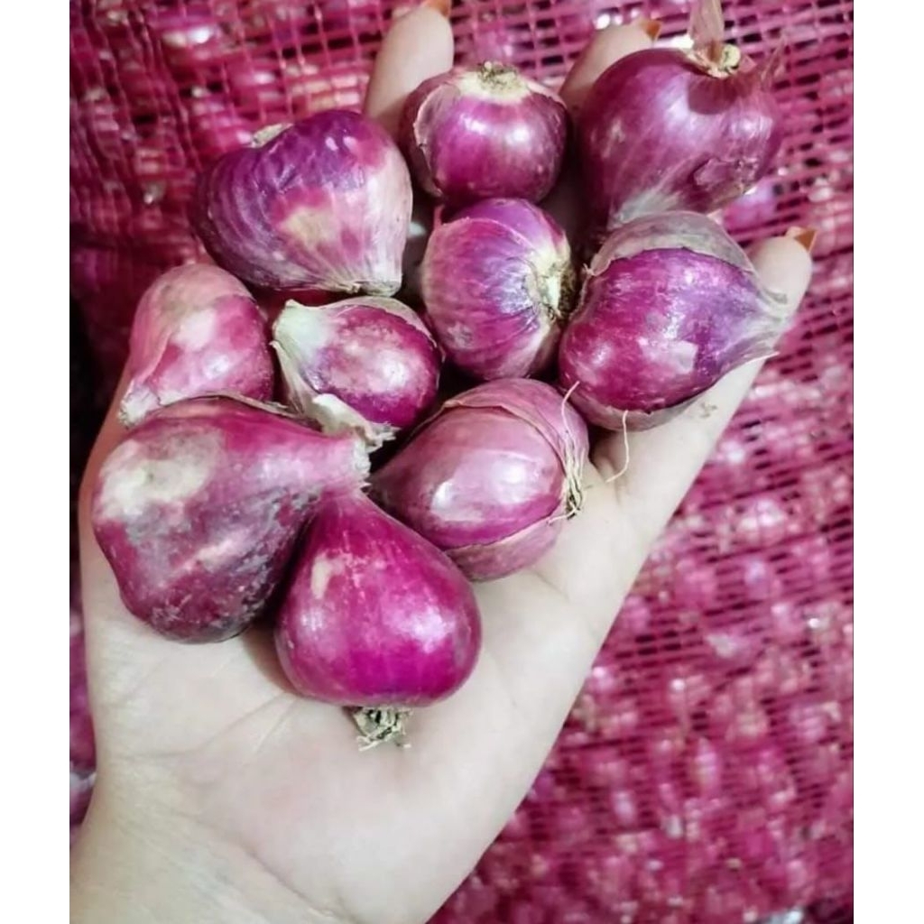 

BAWANG MERAH NGANJUK SUPERAN PER 1KG