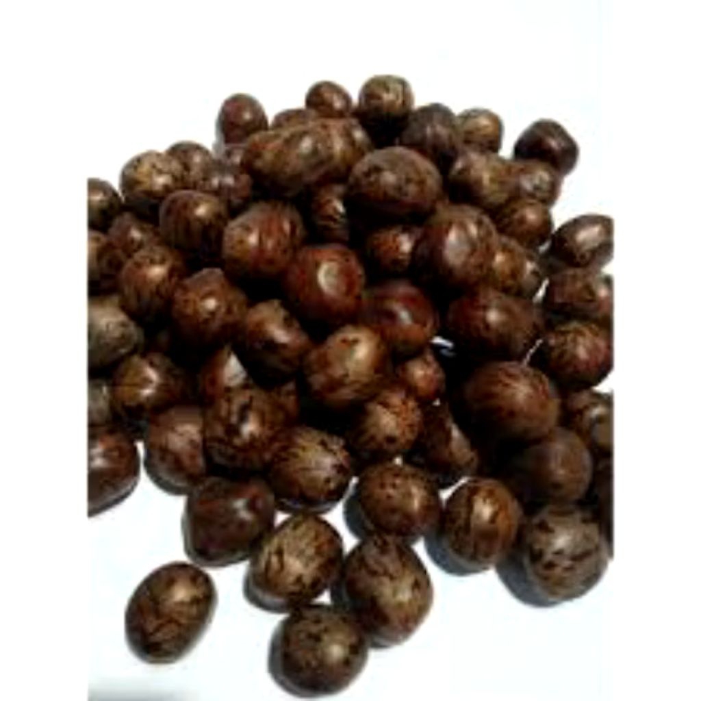 Biji Karet Aduan Mainan