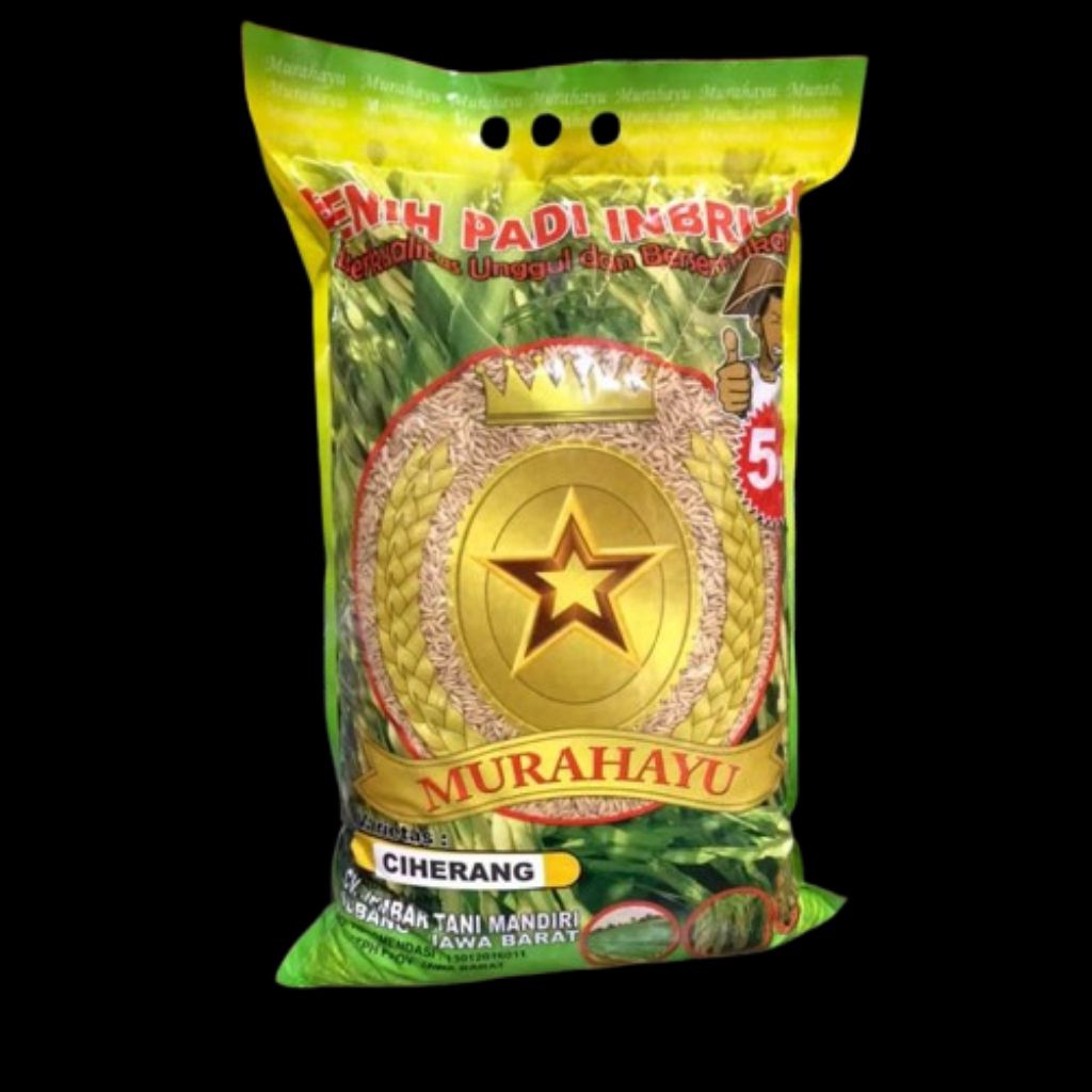 Benih Padi Ciherang