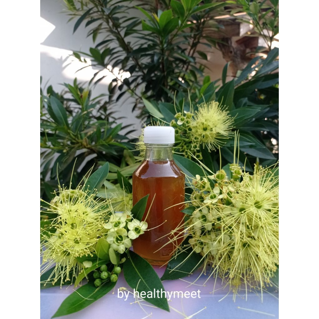 

Madu Klanceng Murni (100℅)