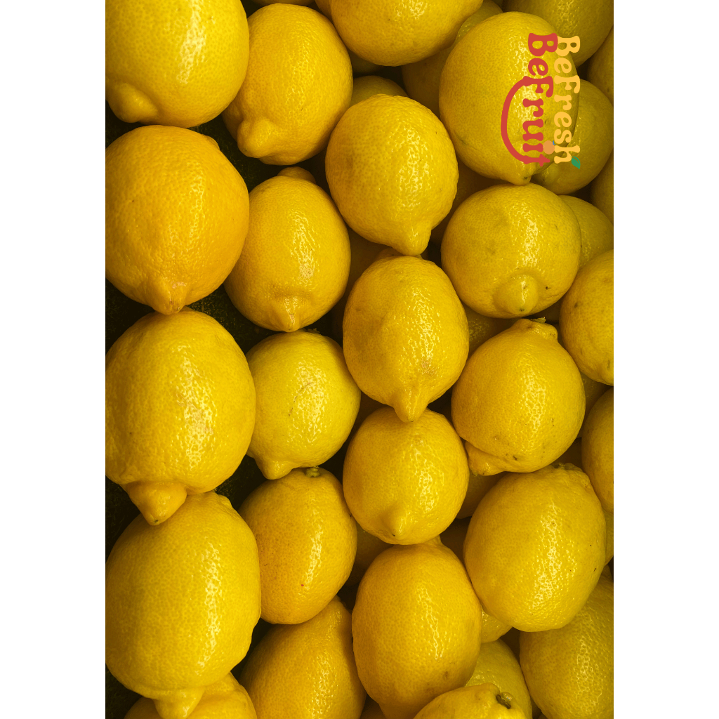 

Buah Lemon Import Fresh Lemon Import 1kg