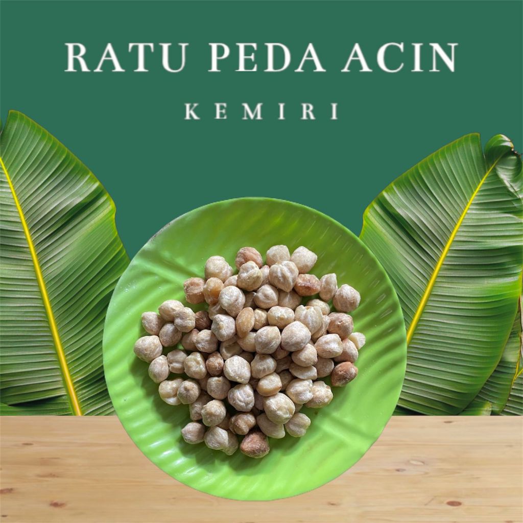 

Kemiri Muncang Bulat 1 kg Termurah Kualitas Terbaik Bersih - Ratu Peda Acin