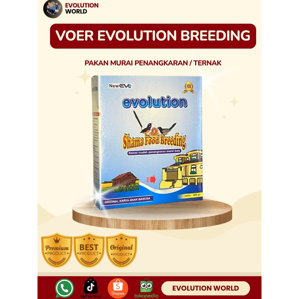 VOER BURUNG MURAI I VOER EVO BREEDING I VOER HARIAN TERNAK MURAI I EVOLUTION BIRDBALI