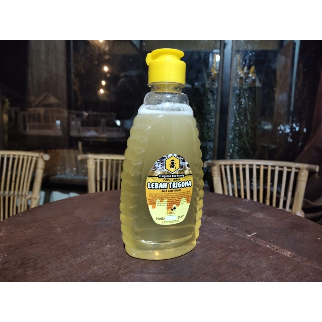 

Madu Lebah Trigona ( Madu Galo-Galo )