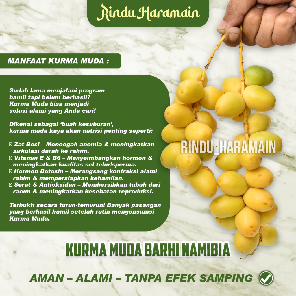 Forcysn Kurma Muda Barhi Namibia Fresh Panen Kurma Muda Barhe Promil Ruthob