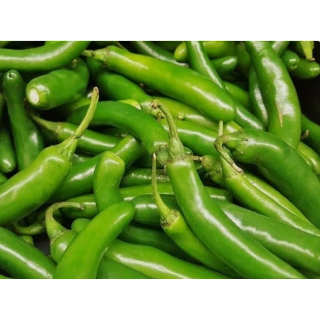 

cabai hijau besar super fresh 1kg