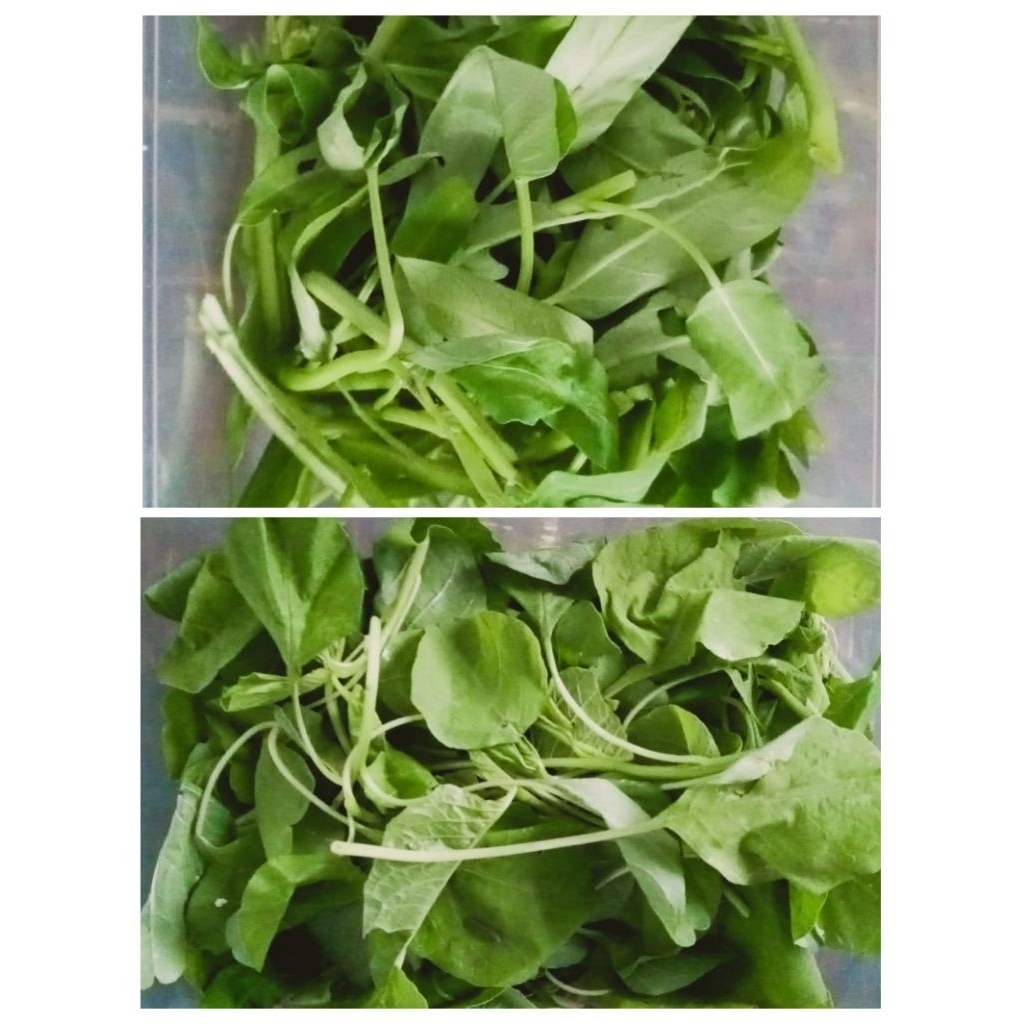 

Sayur Daun Bayam | Kangkung Potong Bersih 180 Gram